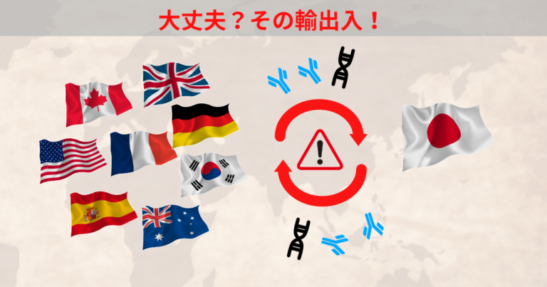Import and Export