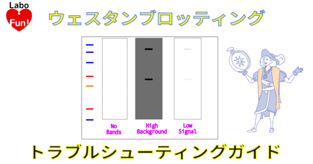 ウェスタンブロッティング(western blot, western blotting)トラブルシューティングガイド!|ここさえ押さえておけば,だいたい解決!【元研究者・試薬技術サポートが贈る】