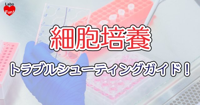 細胞培養トラブルシューティングガイド！｜ここさえ押さえておけば，だいたい解決！【元研究者・試薬技術サポートが贈る】